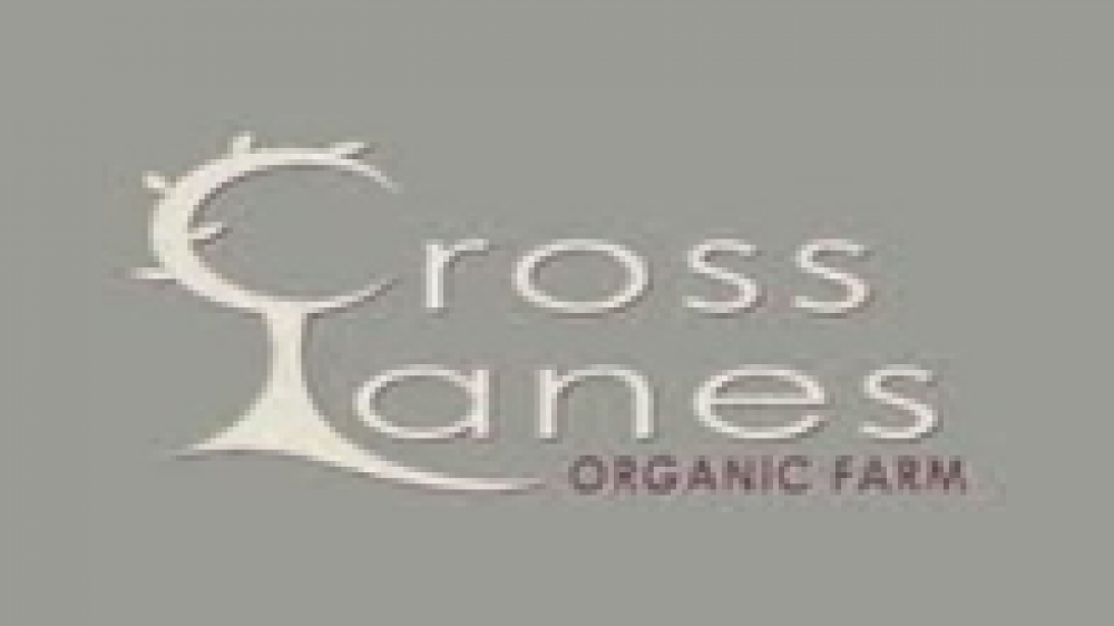 Cross Lanes Logo
